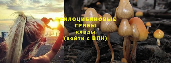ALPHA PVP Бородино