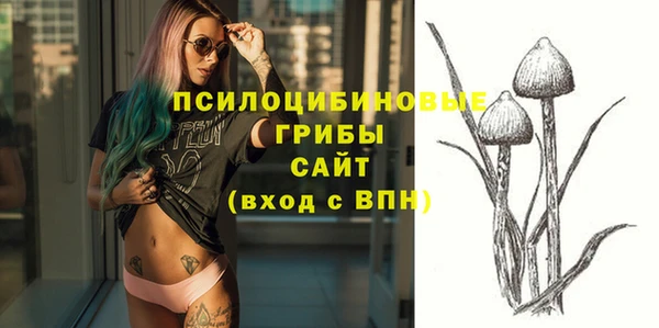 ешки Бронницы