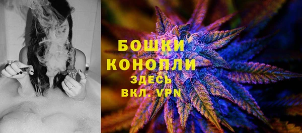 ALPHA PVP Бородино