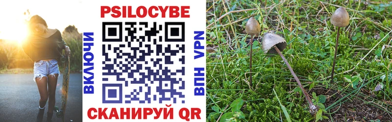 Галлюциногенные грибы GOLDEN TEACHER  Купить закладки  Крымск 